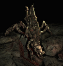 Sembrador.png