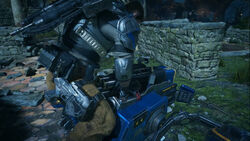 RL-4Salvo-Sentinelpickup