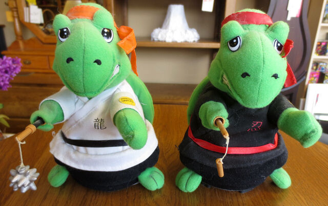 File:Kung fu turtle.jpg