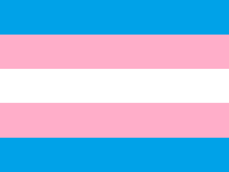 pink blue gay flag