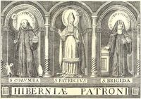 Monasticon Hibernicum 1873 Three Patron Saints