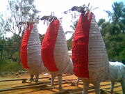 Pooram Horse
