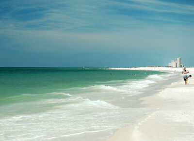 Morning at Gulf State Park