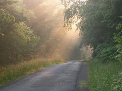 PocahontasCounty.wmg