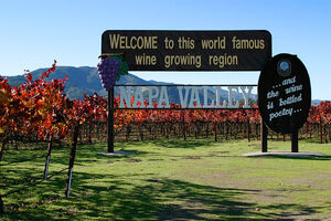 Lightmatter napa valley
