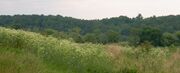 BuckinghamCountyNearJamesRiver.wmg