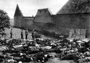 Lidice massacred men