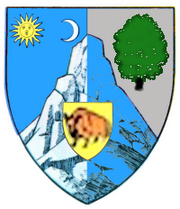 Actual Bacau county CoA