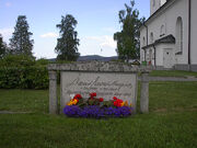 Wahlberg IM000228