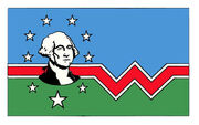 Washington county flag