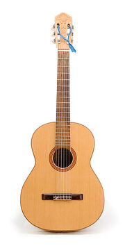 305px-Guitar 1