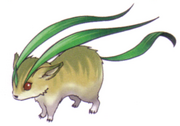 Ardilla hierba