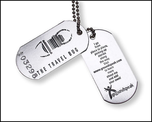 File:Travel bugs.jpg