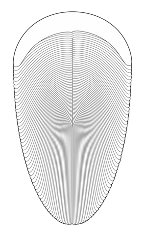 File:Andiva sketch.png