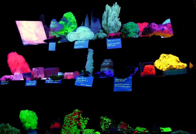 File:Fluorescent mineral collection.jpg