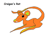 Craigan's Rat