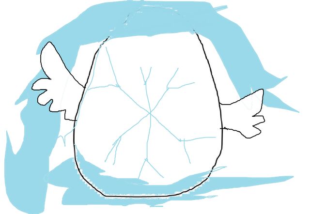 File:Snowy's egg.jpg