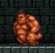 Sumo