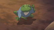 Frog.png