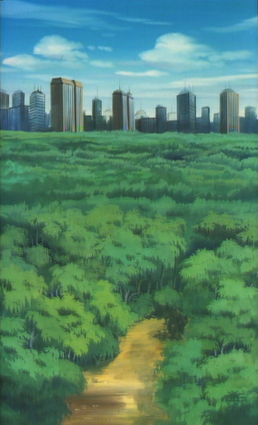 File:CityLandscapeinIAmtheCityepisodeCollage.png