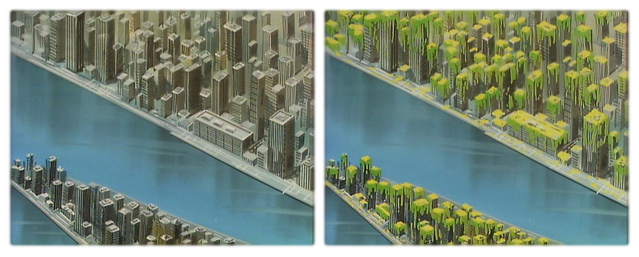 File:NYBeforeandAfterinAdventuresinSlimeandSpaceepisodeCollage.png