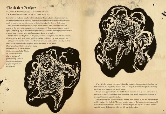 File:TobinsSpiritGuideInsightPage18Preview.jpg