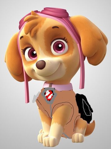 File:Paw busters skye .jpg