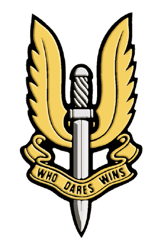 File:SAS.png