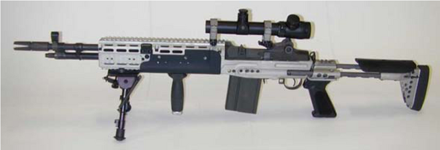 File:800px-Mk14 EBR.png