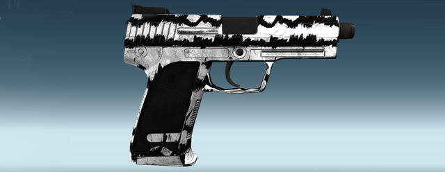 File:USP-45 ALP.png