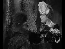 Gorilla