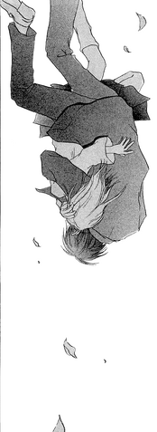 File:Falling together.png