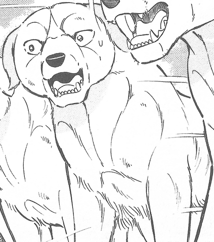 Datei:TamaGTLW.png