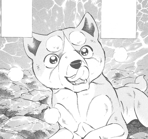 Datei:Ggg.png