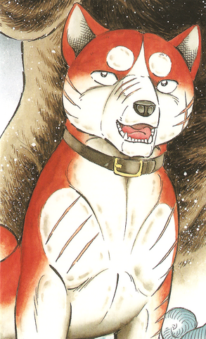 Datei:RikiGDRCover.png