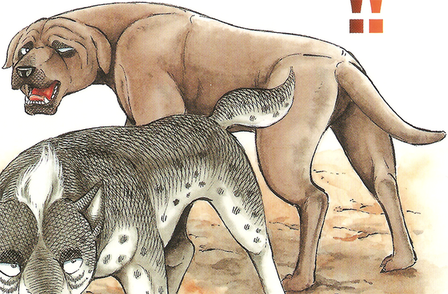 Datei:MusashiTLW2Cover2.png