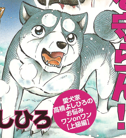 Datei:WeedMyFirstBigCover2.png