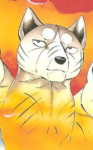 Datei:Frfr.png
