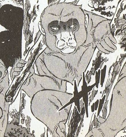 File:Akasaru.jpg
