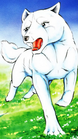 Файл:Ginmate.png