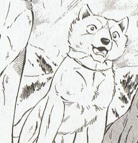 File:Mukku32.jpg
