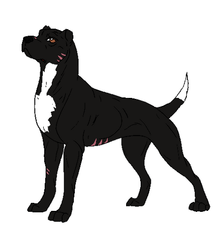 File:Zephyr.png