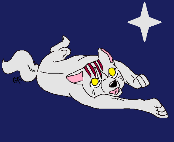 File:Star-Chan.png