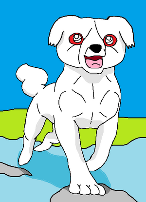 Sheva