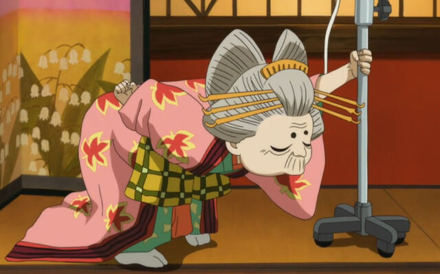 Plik:Suzuran obecnie.jpg