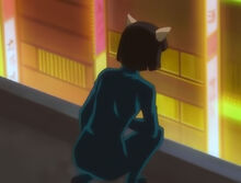 Cap12-04.jpg