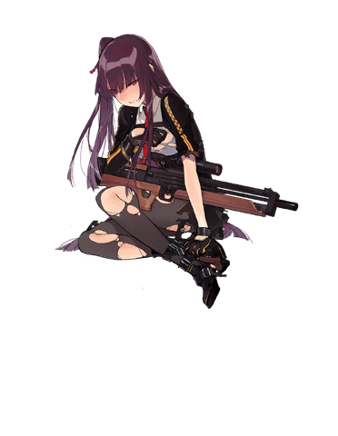 File:Wa2000 dmg.png