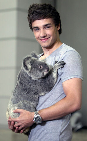 File:Liam Payne.jpg