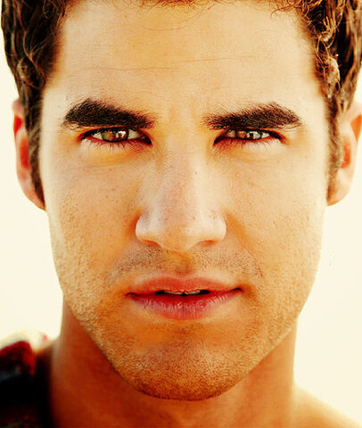 File:You-forgot-darren-criss-king-of-eye-fucking-10271-1326427581-191.jpg
