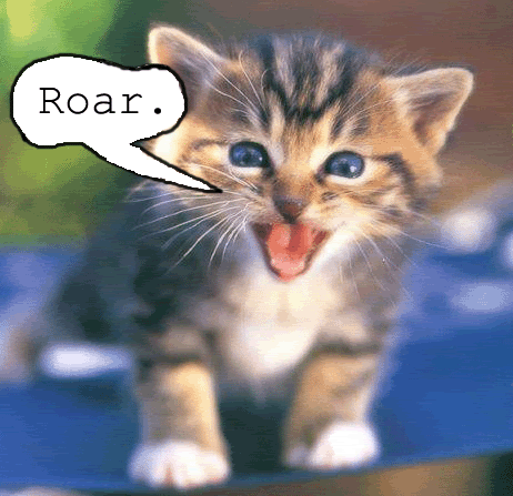 File:AngryKittenRoar.gif
